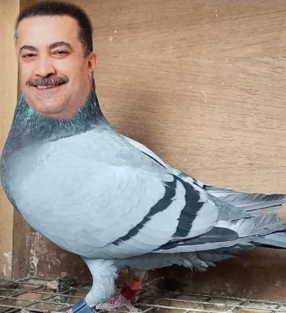 0r_s12's tweet image. الخدمات عال العال ماكو غرك  بضل حكومة الزاجل
احنه بخدمتكم