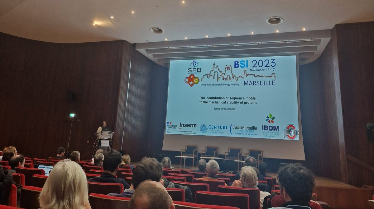 Thrilled to be part of #BSI2023 conference in Marseille where I presented my work on the contribution of sequence motifs to the mechanical stability of proteins.  
Grateful for the opportunity to share insights and learn from others in the field.