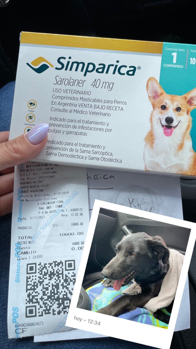 garciamluciana's tweet photo. Me ayudan a difundir a esta bebé para que consiga una familia que la cuide y la ame como se merece? Muchas gracias! https://t.co/oHIg65syKK