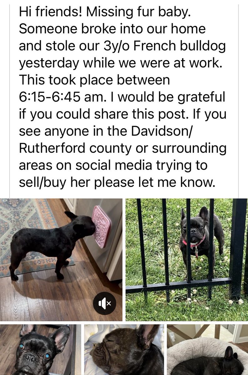 ChaseMillerTime's tweet photo. Posting for a family member. Please keep an eye out if you’re in the Nashville area. If you see something contact me. Feel free to share. https://t.co/wkxXnImMp8