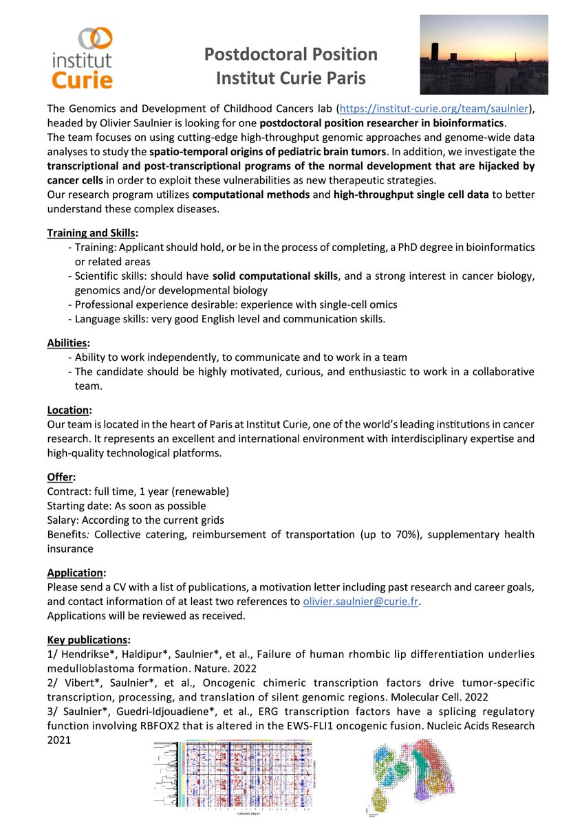 📢 We are hiring a highly motivated postdoc in bioinformatics/genomics to join us in @institut_curie and beautiful Paris! Reach out if you want to decipher the spatio-temporal origins of pediatric brain tumors🧠 Please RT and spread the word!! 🤞