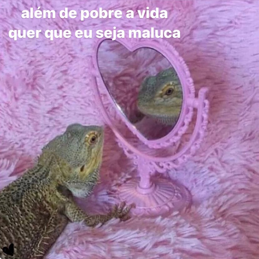 Itspedrito's tweet photo. tá conseguindo https://t.co/YTLGDMu1yO