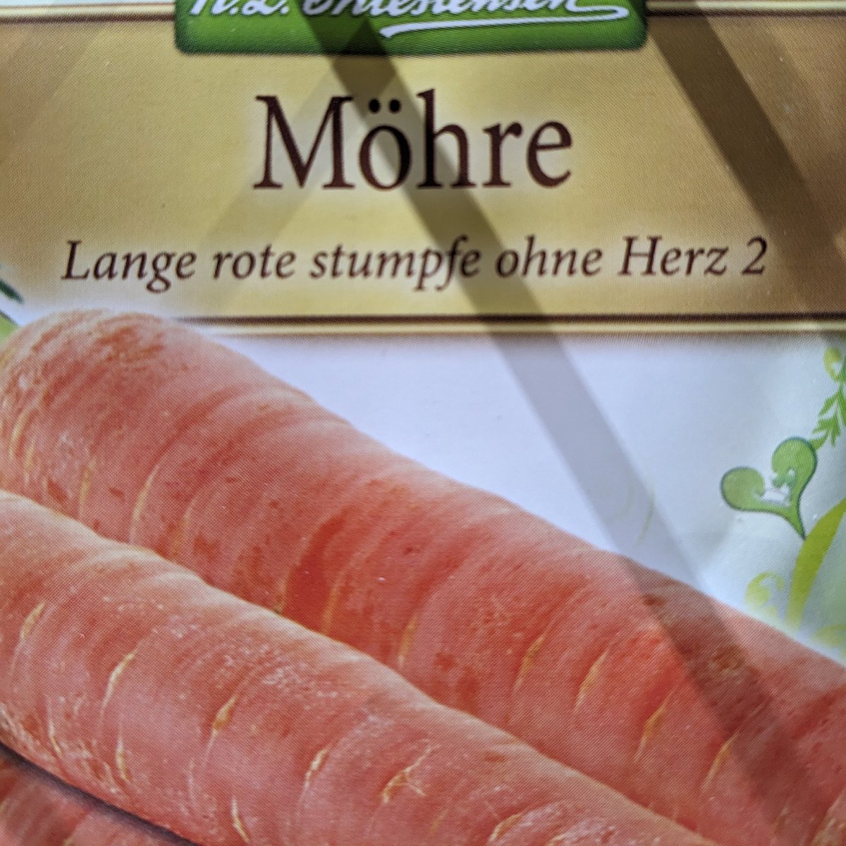 Sahra-Wagenknecht-Möhre