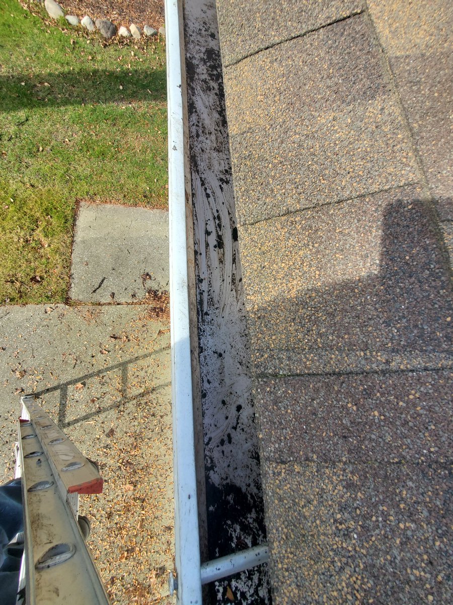 EandSPowerWash's tweet photo. Gutter Cleaning / Clean Out in Livonia, Michigan @Everyone #BeforeandAfter #GutterCleaning #GutterCleanOut #GutterCleaningService #GutterService #CleaningGutters #CleaningGutterService #RoofBlowOff #Cleaning #Cleaned #Clean #PowerWashing #PressureWashing #ExteriorCleaning https://t.co/6PkEHUj8Ls