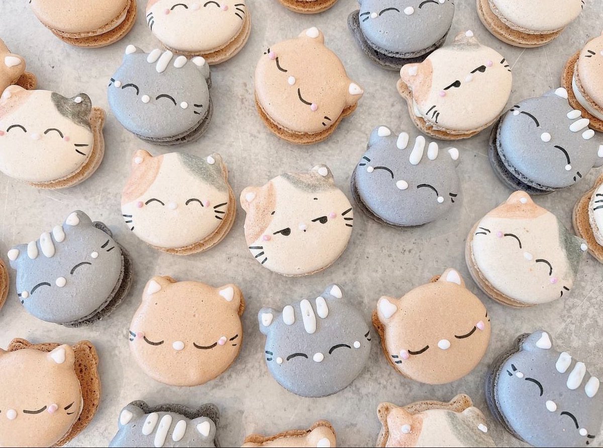 TNguyen6001's tweet photo. Pawfect little cat macarons!
#cakesofinstagram#intacake#buttercreamcake#fondantcake #houstoncakes#houstonbakery#yum#delicious#birthdaycak e#houstoncustomcakes#houstonfood#houstonfoodie#houst onevents#houstontx https://t.co/vHOsfJu3BE