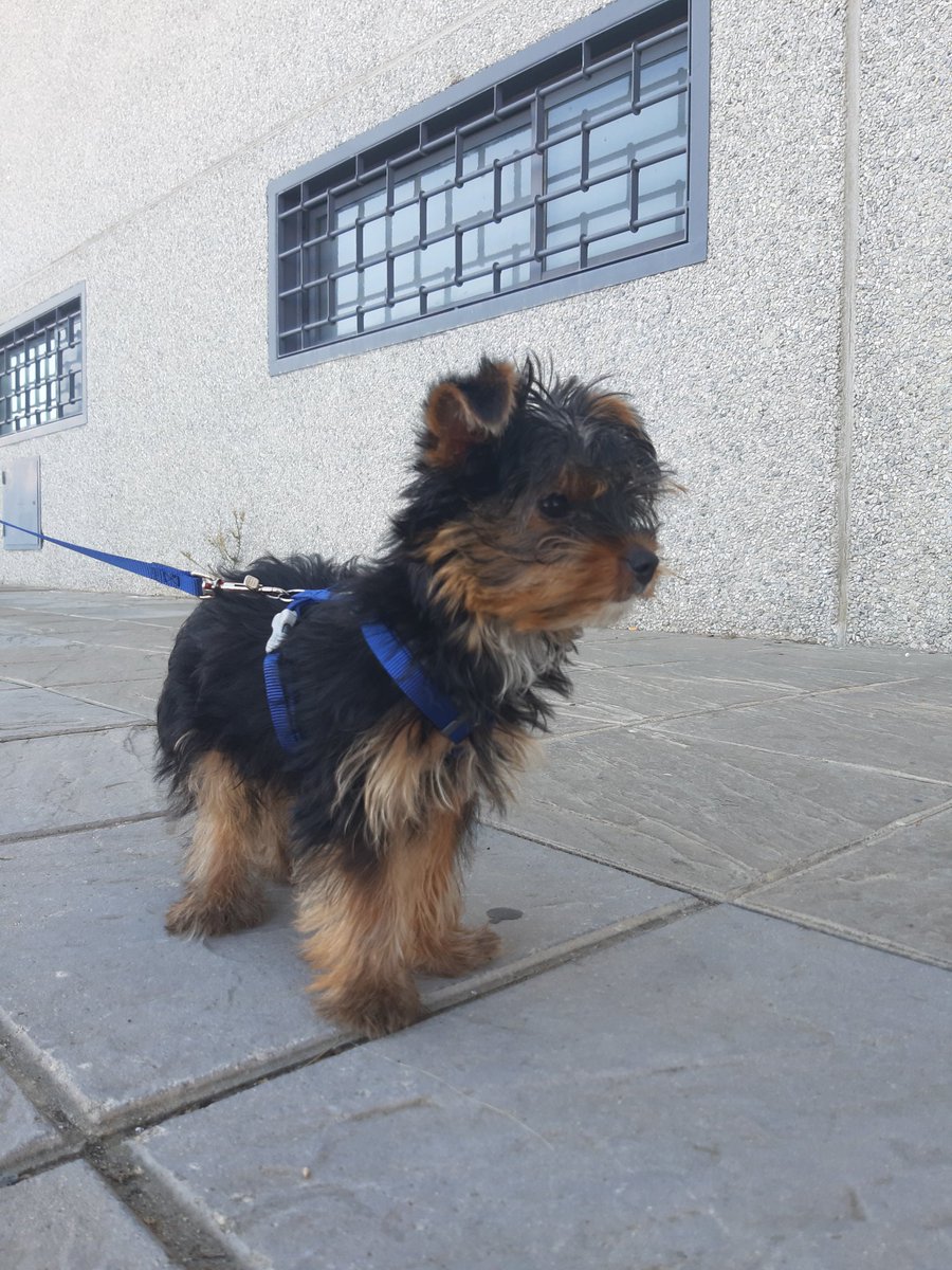 Primeras veces 🩵
#Uke 

<a href="/cintijudo/">Cinti Garcia</a>