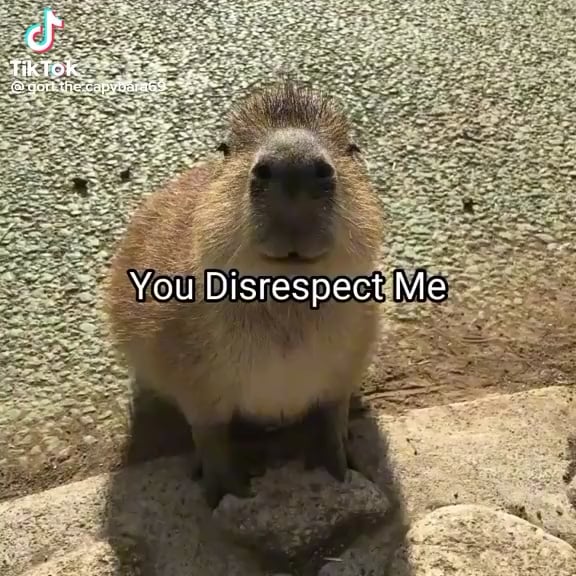 ᅠᅠ
kaizen.⠀ "Best not say anything that'll agitate him"

Introduces himself.

Roxas: