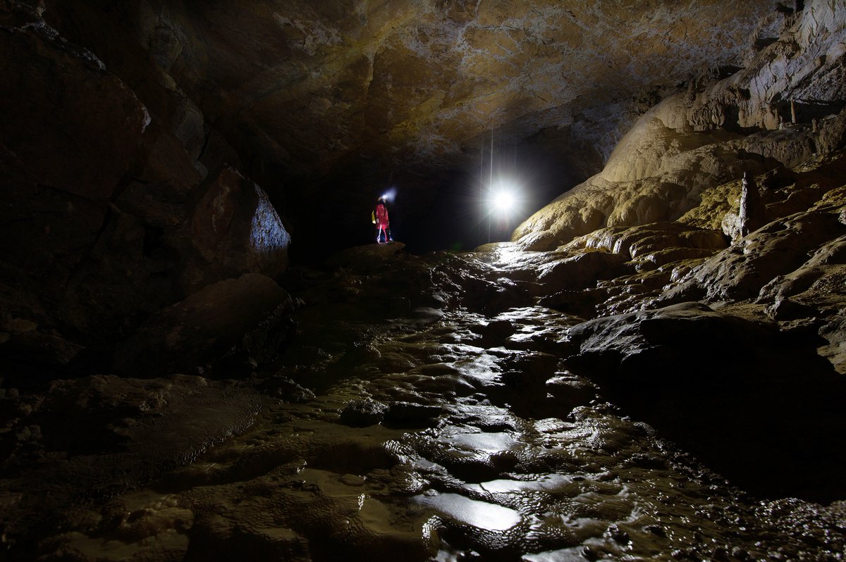 Grotte de #Gournier - #Choranche in Frankreich. 
Ein 18 km langes Höhlensystem mit gigantischen Ausmaßen und wunderschönen #Sinter Verzierungen.
#travel #sepelology #photography #instagood #wanderlust #canon #NaturePhotography #Adventure #Cave #WondersOftheWorld #France
