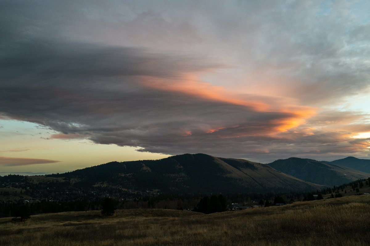 BlackCoffeeMsla's tweet image. #missoula