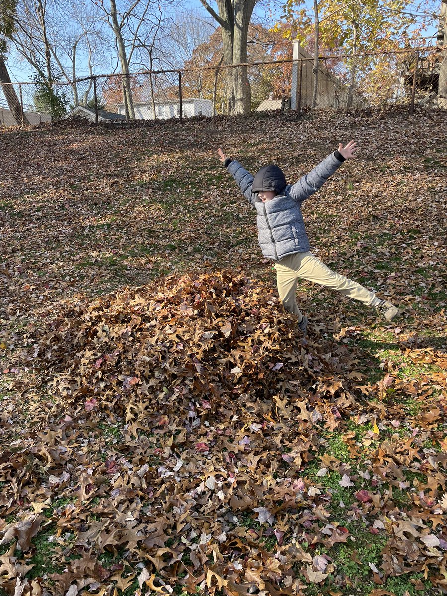 MpsPerce's tweet photo. We ❤️ FALL! 🍂🍁🍃 https://t.co/uwd5280olw
