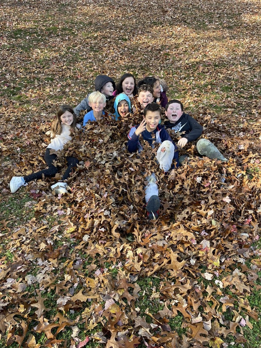 MpsPerce's tweet photo. We ❤️ FALL! 🍂🍁🍃 https://t.co/uwd5280olw