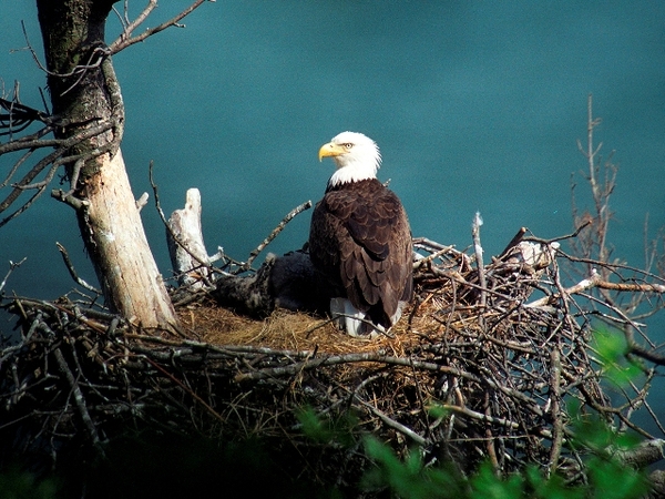TravelGumbo's tweet image. #RaystownLake #Pennsylvania #PlentyToSeeAndDo #ttot

TravelGumbo archives
By Travelers, For Travelers

travelgumbo.com/blog/plenty-to…