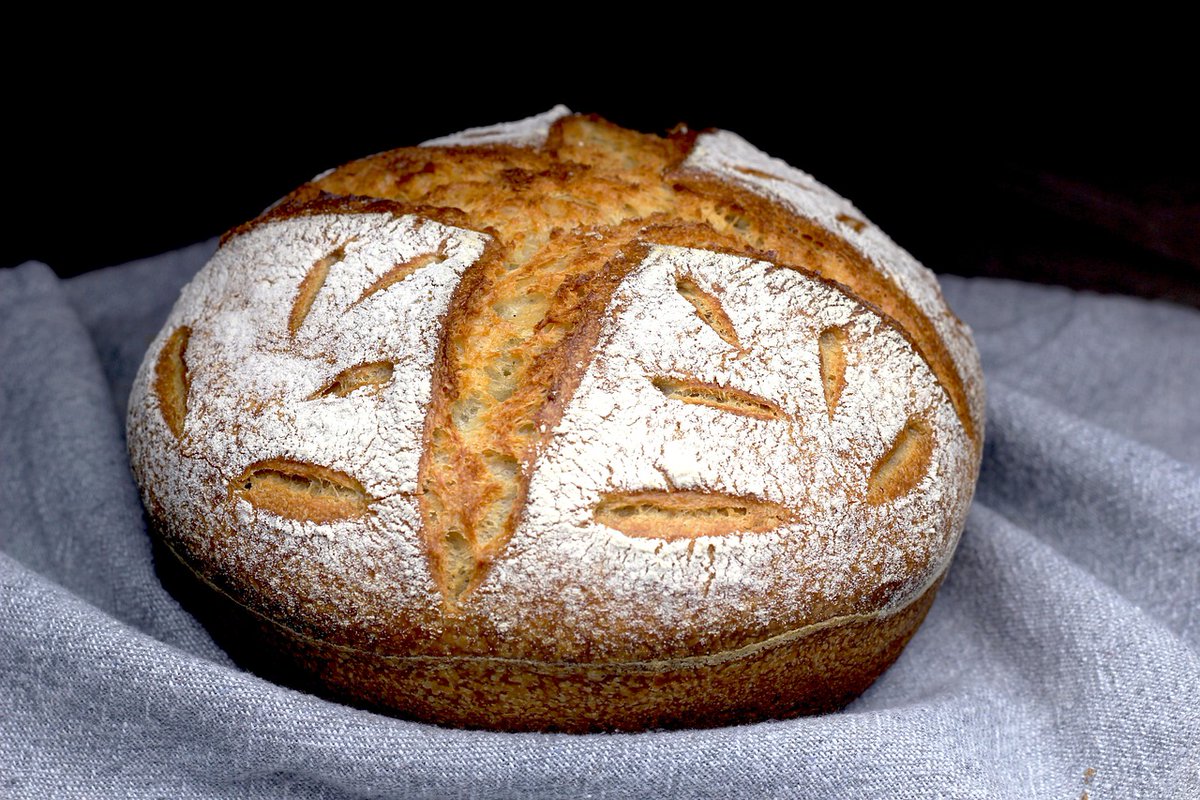 I volunteered to make sourdough bread for Thanksgiving. I just found out it takes 4 days to make from scratch to finish. 🙄