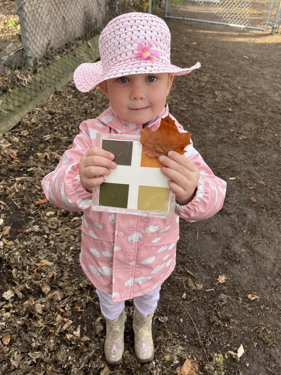 A great morning in the <a href="/TrafalgarPS/">Trafalgar PS</a> outdoor classroom! Thank you to Ms. Shannon from <a href="/LdnEEC/">London EnvEd Centre</a> for another engaging ‘Senses in the Schoolyard’ program. <a href="/TVDSB/">Thames Valley DSB</a>