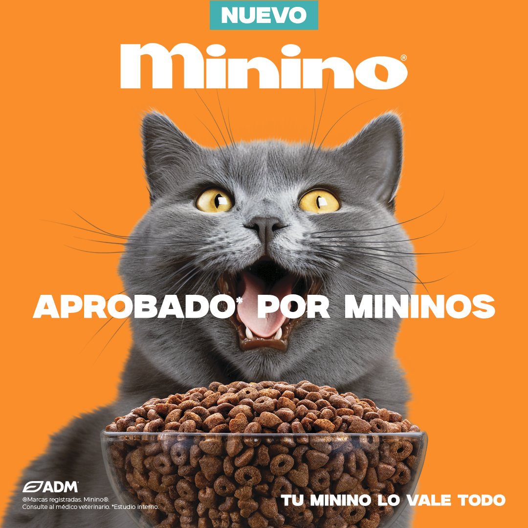 Cumplimos 25 años y la fórmula de Minino® se renueva para brindarte un MEJOR sabor y MÁS proteína. La carita de felicidad de tu michi nos respalda. 🧡

Conoce más en mininomx.com

#MininoseRevoluciona
#TuMininoLoValeTodo