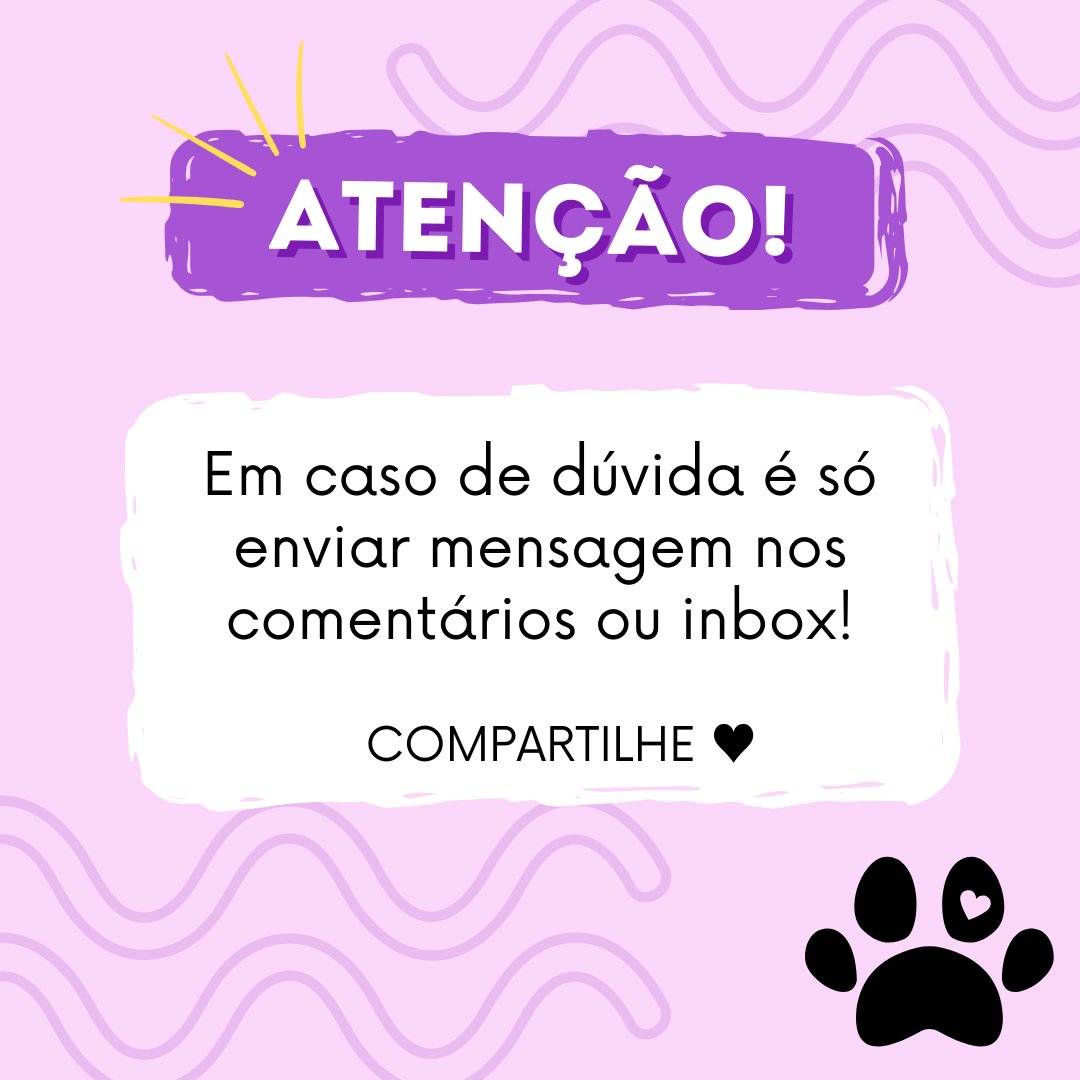 Dicas_da_Kira tweet picture