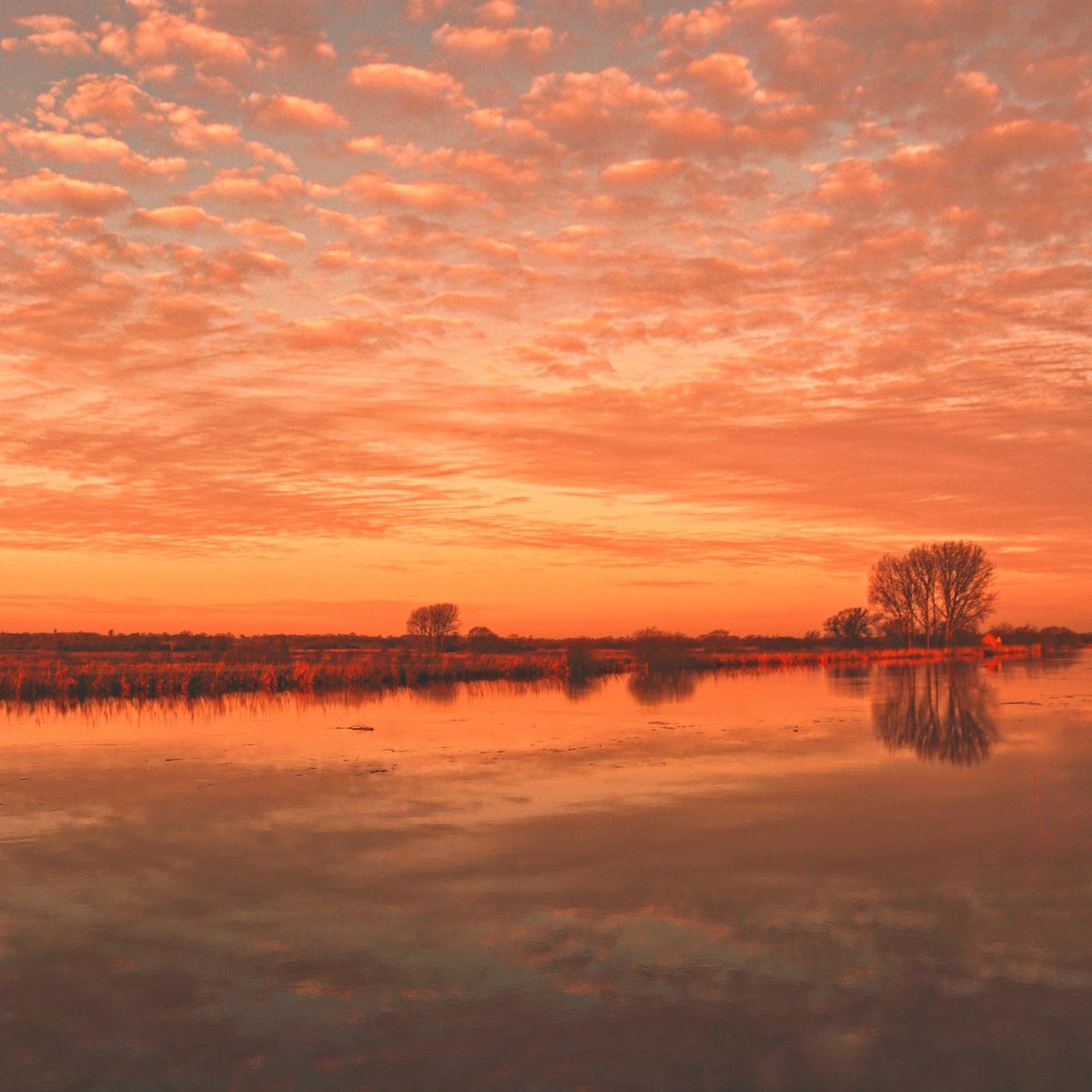 Norfolk is known for its big sky views 🩷 Nothing beats getting out amongst the fresh air and admiring those vast open skies, no matter the time of year. A simply beautiful scene here, looking out over the clouds reflected in the still water. 📷 @WLH1972 #ThursdayThoughts