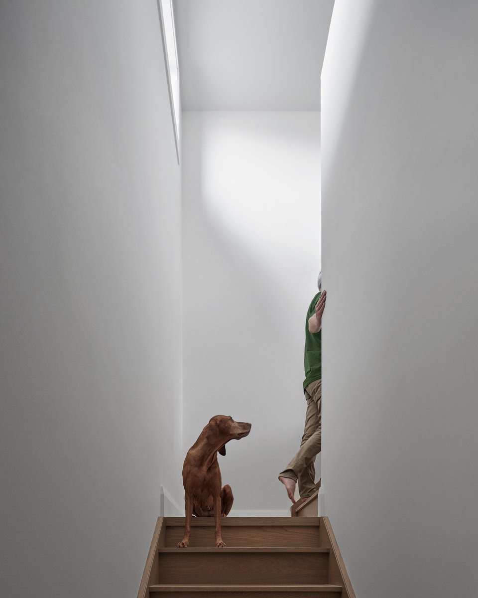 fluxdevca's tweet image. One of our favourite moments. 🤍   

Project New Toronto 
Architectural Design + Build: @fluxdevca
Interior Design: Mason Studio 
Photography: Nanne Springer  

#homerenovation #torontocontractor #torontobuilder #staircase #torontodesign #interiordesign #contemporarydesign