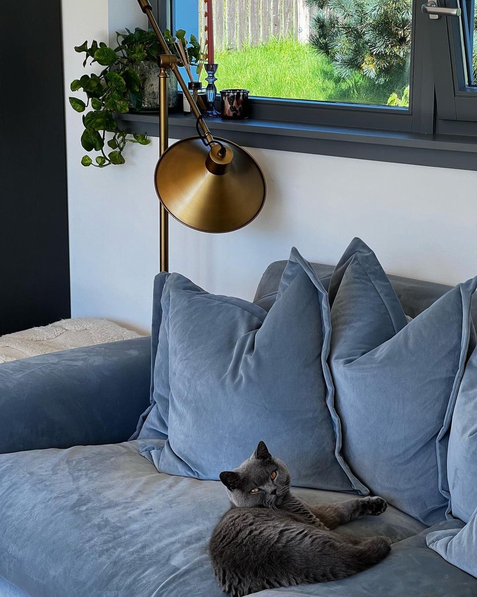 GrahamandBrown's tweet image. The purr-fect spot for an afternoon relax. 🐈🤍 

🎨 Angel Dust 
📷 @tinyweehoose

#whitepaint #interiors #homedecor