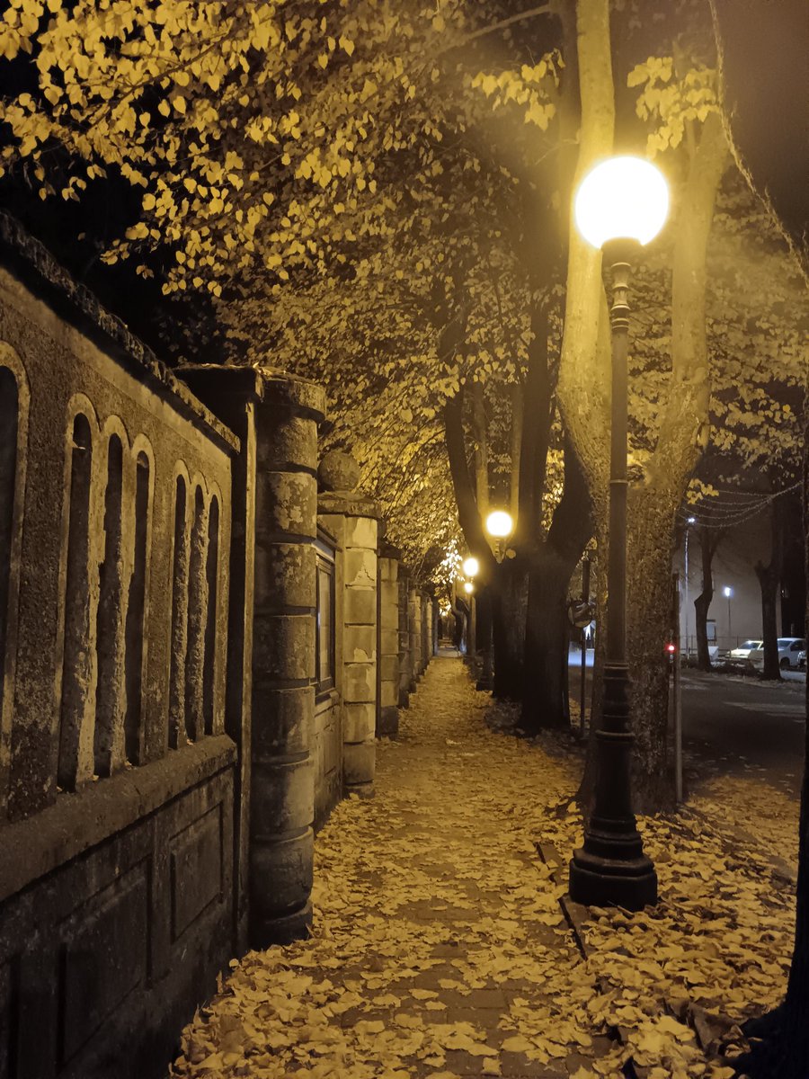 Passare di qui apposta 💛