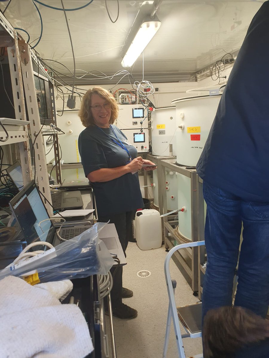 MinkeProject's tweet photo. 🔄 Sensor swap at MINKE pH/O2 ILC! Moving sensors across tanks at various temps and pH levels. The teamwork is impressive—lots of collaboration and support! 🤝🌡️ #ILCResearch #Teamwork #ScienceCollaboration https://t.co/Nye3QmvfIj