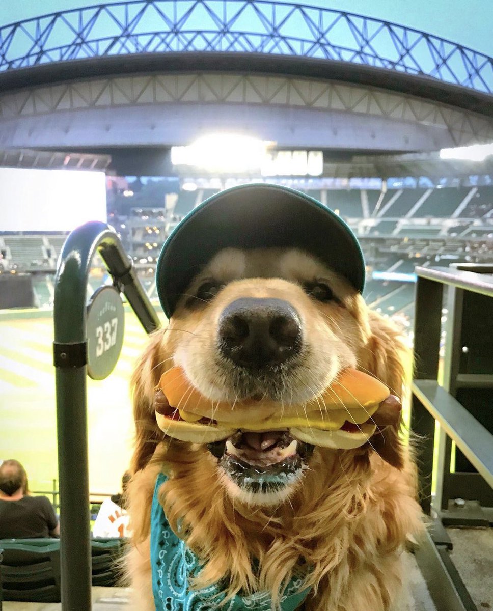 cleevlund's tweet image. twitch.tv/cleevlund