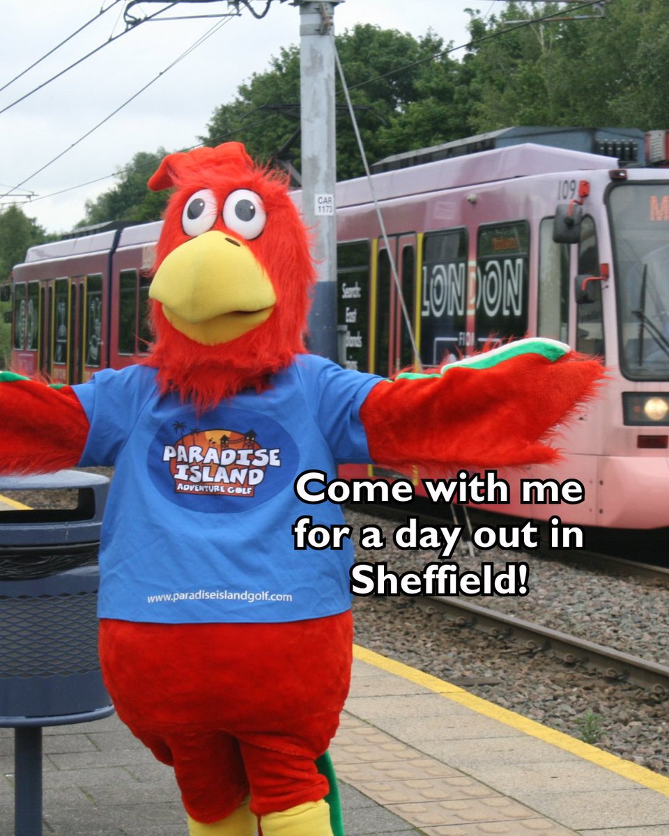 Piag Sheffield tweet media