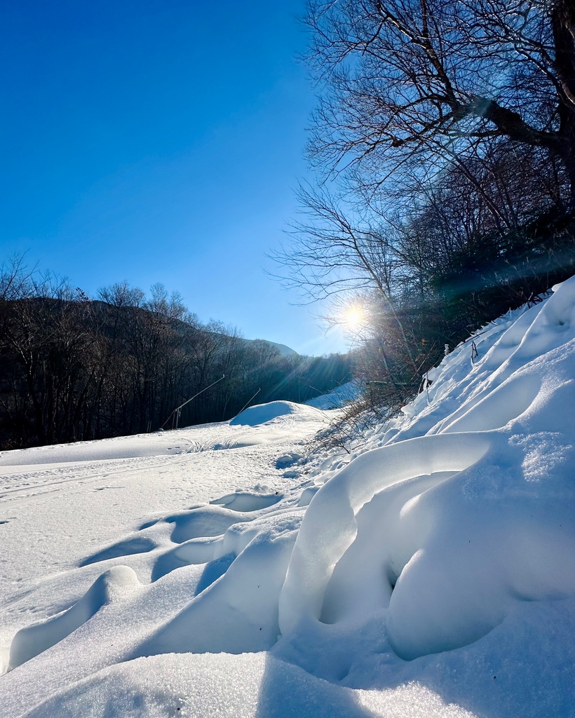 Smugglers' Notch tweet media