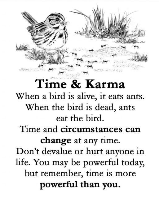 mindfulmaven_'s tweet image. 