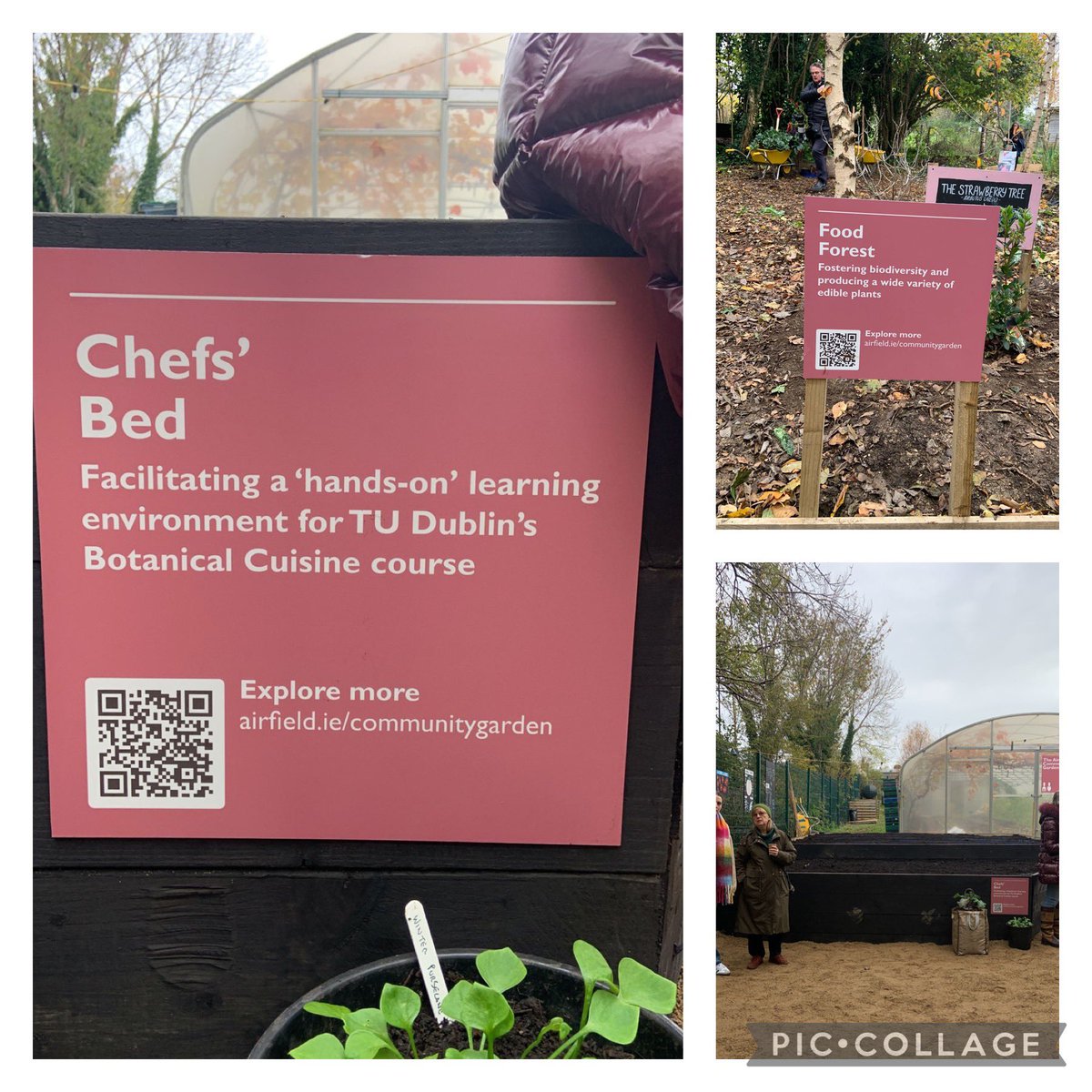 How cool is this👇our new outdoor classroom for our Botanical Cuisine chefs🙌 a great space for #appliedlearning #foodsustainability Congratulations @AirfieldEstate on the launch of your community garden @cathmartingreen @FoodOnTheEdge @mistereatgalway