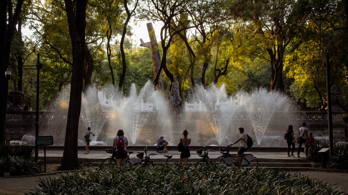 Bosque De Chapultepec tweet media