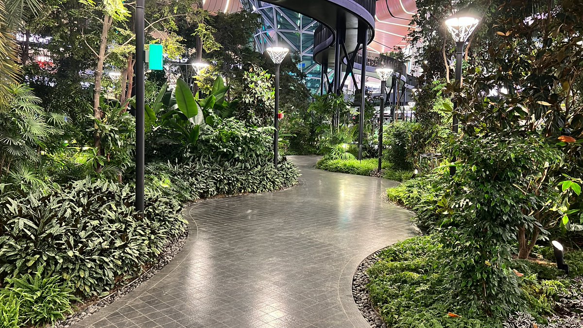 Wandering around Doha airport - finally figured out the leaks in JKIA - if the roof leaks enough and they get enough rain maybe they can get a forest in the airport like this