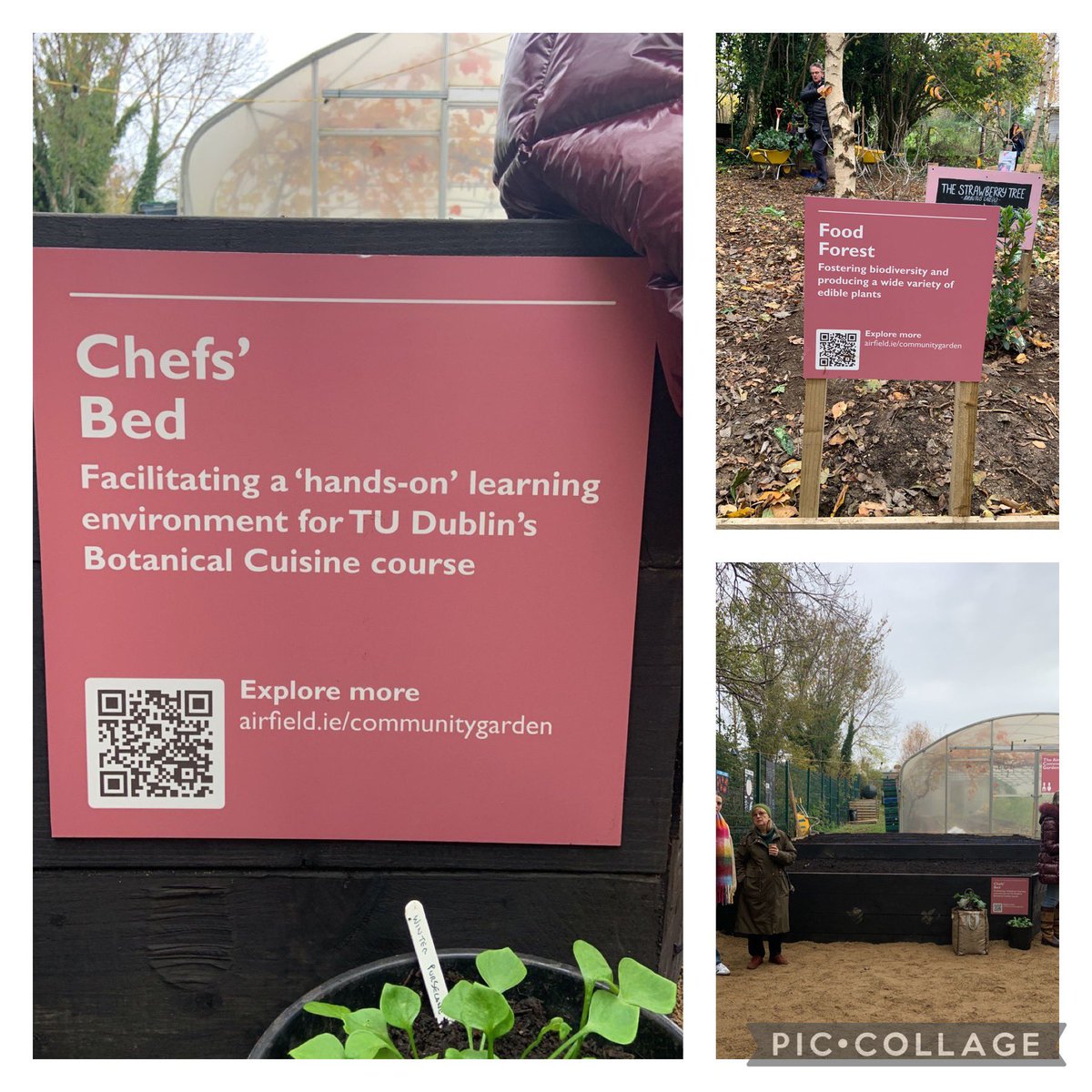 Annette Sweeney (@annettesweentud) on Twitter photo How cool is this? What a perfect outdoor learning space for our chefs <a href="/TUDCulinaryTC/">TU Dublin Culinary Arts-Tallaght</a> <a href="/AirfieldEstate/">Airfield Estate</a> for our Botanical cuisine chefs
Congratulations <a href="/AirfieldEstate/">Airfield Estate</a> on the launch of your community garden 👏
#foodsustainability #thefutureoffood
<a href="/FoodOnTheEdge/">Food On The Edge</a> <a href="/WeAreTUDublin/">TU Dublin / OT Baile Átha Cliath</a> How cool is this? What a perfect outdoor learning space for our chefs <a href="/TUDCulinaryTC/">TU Dublin Culinary Arts-Tallaght</a> <a href="/AirfieldEstate/">Airfield Estate</a> for our Botanical cuisine chefs
Congratulations <a href="/AirfieldEstate/">Airfield Estate</a> on the launch of your community garden 👏
#foodsustainability #thefutureoffood
<a href="/FoodOnTheEdge/">Food On The Edge</a> <a href="/WeAreTUDublin/">TU Dublin / OT Baile Átha Cliath</a>