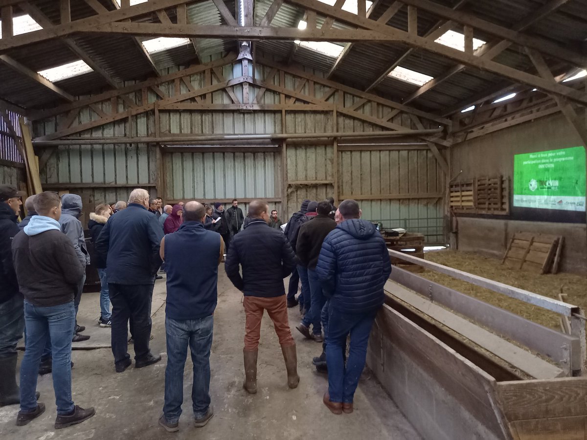 charles_pillet's tweet photo. 45 éleveurs présents à la dernière journée technique ovine 😁😁
Un grand merci à l'ensemble des techniciens pour leur participation dans l'organisation 🐑
🤝 Ensemble, c'est l'esprit de notre belle filière ovine
@Agri_Normandie @chambagri_hdf @coopEMC2 @NatUp_groupe #OSON https://t.co/OcWNTDTEIE