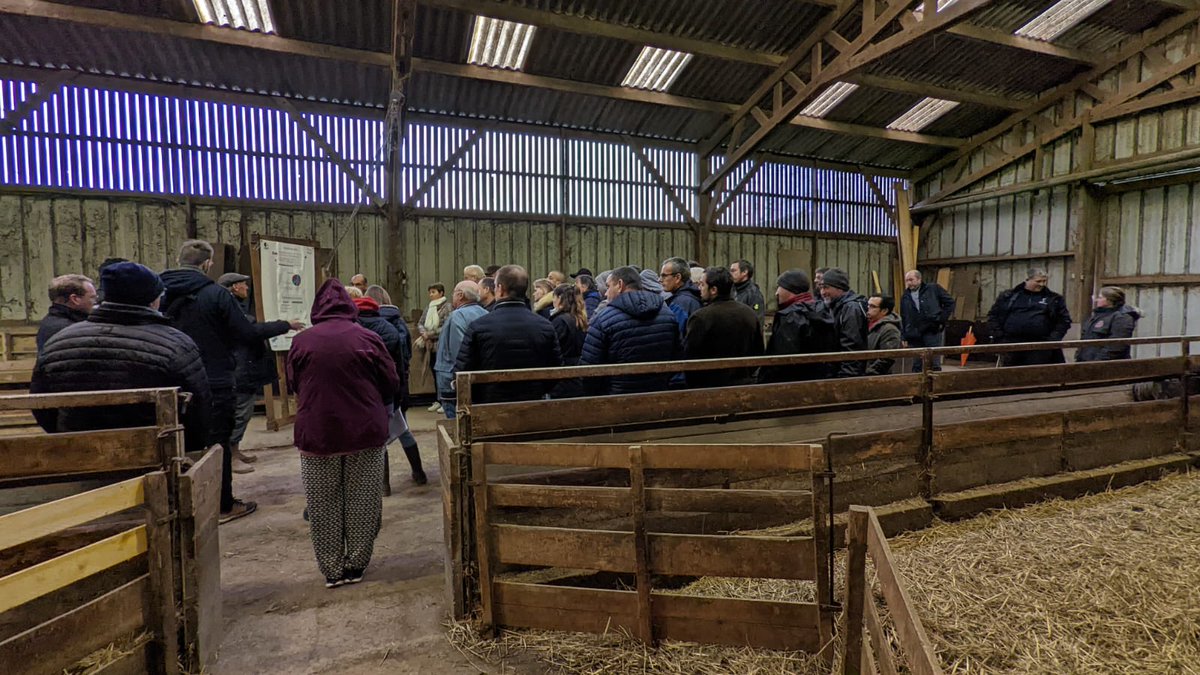 charles_pillet's tweet photo. 45 éleveurs présents à la dernière journée technique ovine 😁😁
Un grand merci à l'ensemble des techniciens pour leur participation dans l'organisation 🐑
🤝 Ensemble, c'est l'esprit de notre belle filière ovine
@Agri_Normandie @chambagri_hdf @coopEMC2 @NatUp_groupe #OSON https://t.co/OcWNTDTEIE