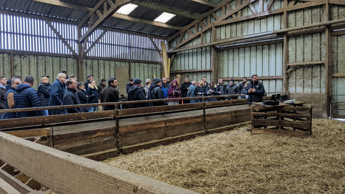 charles_pillet's tweet photo. 45 éleveurs présents à la dernière journée technique ovine 😁😁
Un grand merci à l'ensemble des techniciens pour leur participation dans l'organisation 🐑
🤝 Ensemble, c'est l'esprit de notre belle filière ovine
@Agri_Normandie @chambagri_hdf @coopEMC2 @NatUp_groupe #OSON https://t.co/OcWNTDTEIE