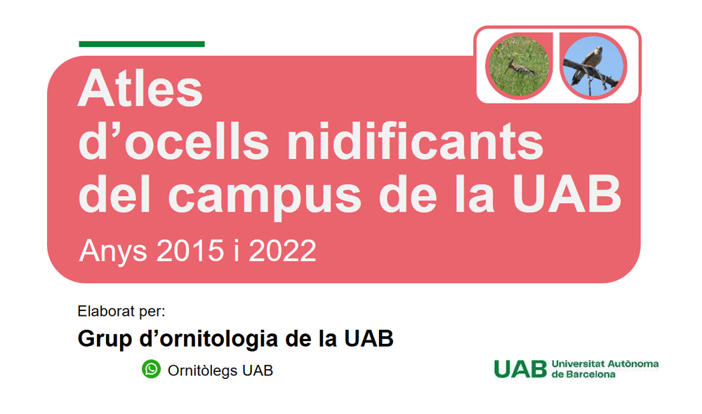 Bctuab's tweet photo. Aquest matí s'ha dut a terme la presentació de l'Atles d'ocells nidificants del #campusUAB a l'#EspaiBCT, amb la presència de la vicerectora @CarmeMirallesGu.

Vols saber com ha anat?
T'ho resumint en 5⃣piulades! 👇🧵

#ornitologiaUAB #sostenibilitatUAB #OMA @FAS_UAB @OCiCUAB https://t.co/eugB9mZHGT