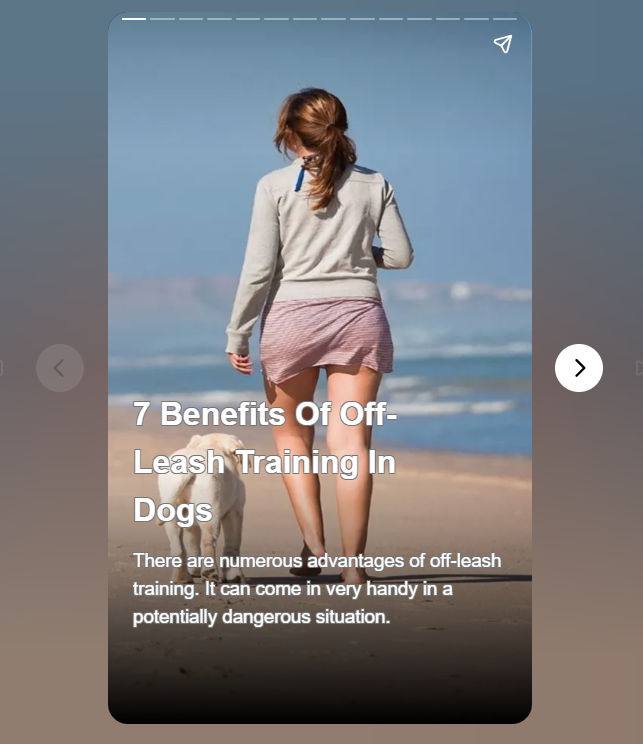 7 Benefits Of Off-Leash Training In Dogs

Off-leash training for dogs has numerous benefits for both dog guardians and dogs alike. It can save you and your dog in dangerous situations.

webstories.today/watch/advantag…