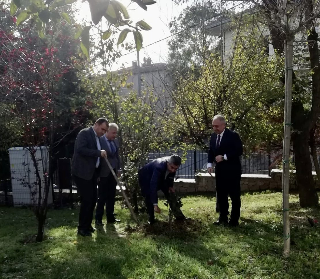 TuncSehit's tweet photo. 11 Kasım “Milli Ağaçlandırma Günü” kapsamında ilçe kaymakamımız Sn. Oğuzhan BİNGÖL, ilçe milli eğitim müdürümüz Sn. Sedat IŞIK ve okul idaremizin katılımıyla okulumuz bahçesine limon, zeytin,mandalina ve çınar ağaçları diktik. 
@sedatt5034 @besiktasmilliegitim @tcmeb https://t.co/bAAmhUZuCE