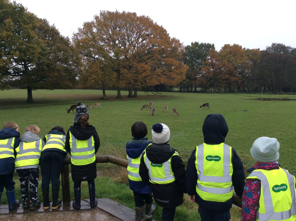 Yet another great trip for @HawesDown pupils. This time our Y2 pupils had a wonderful, although wet, day out at the British Wildlife Centre. A fantastic opportunity to learn about the importance of conservation. 
#primarygeography #enrichment @BWCtweets