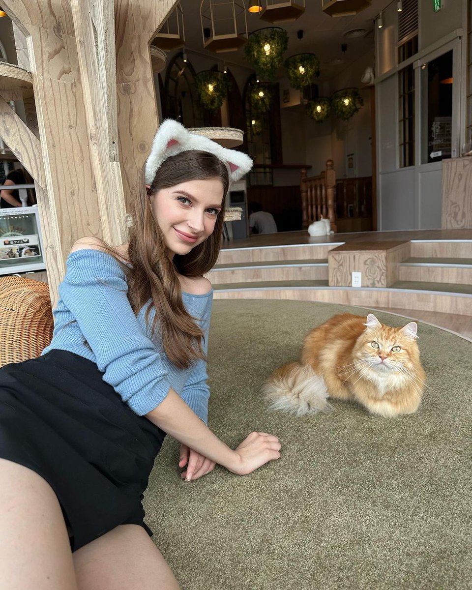 Miller23314's tweet photo. I went to a cat cafe 🐱💗.
A great place for cat lovers ✨!
It's also a great place to meet up with friends or just kill a little time 🤭.
I hope you all go there to be healed by cute cats 🤍. https://t.co/SKMFeHbG6N
