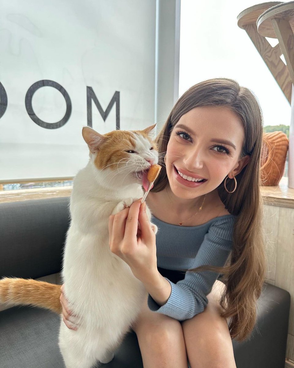 Miller23314's tweet photo. I went to a cat cafe 🐱💗.
A great place for cat lovers ✨!
It's also a great place to meet up with friends or just kill a little time 🤭.
I hope you all go there to be healed by cute cats 🤍. https://t.co/SKMFeHbG6N