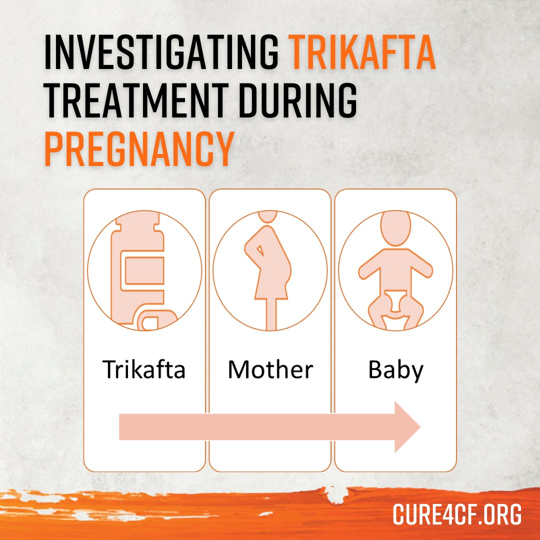 Cure4CF Foundation (@cure4cff) on Twitter photo With Trikafta now delivering life changing benefits for many people, more women with CF are becoming pregnant. 
Head here to read more: cure4cf.org/research-proje… With Trikafta now delivering life changing benefits for many people, more women with CF are becoming pregnant. 
Head here to read more: cure4cf.org/research-proje…
