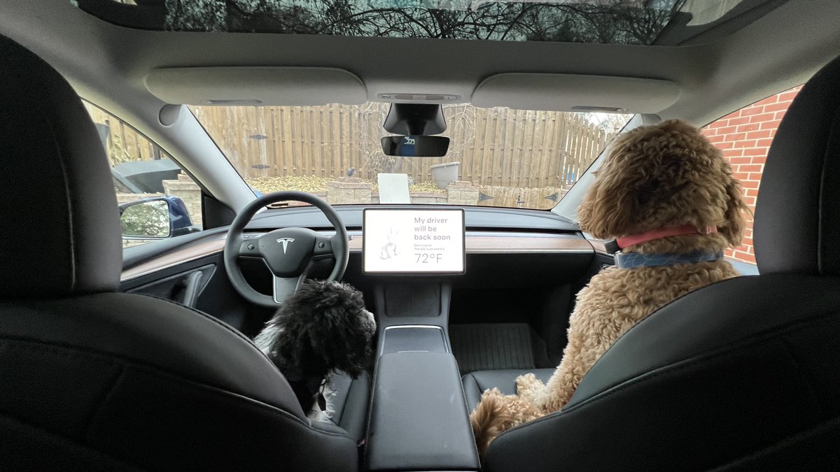 🐾 Tesla's Dog Mode keeps your furry friends comfortable and safe while you run errands! 🚗🐶 No need to worry about temperature – the car keeps a pet-friendly environment and displays a message for concerned passersby. Peace of mind for you and your beloved pets! #Tesla #DogMode