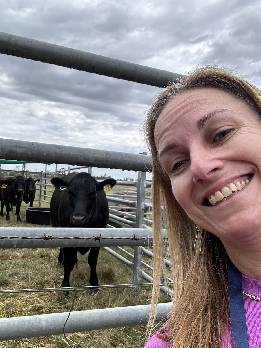 Michelle Colgrave tweet media