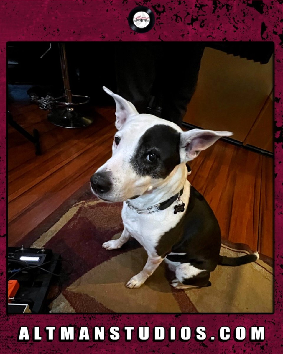 Congratulations to Roxie who is our employee of the month for the 6th month in a row!