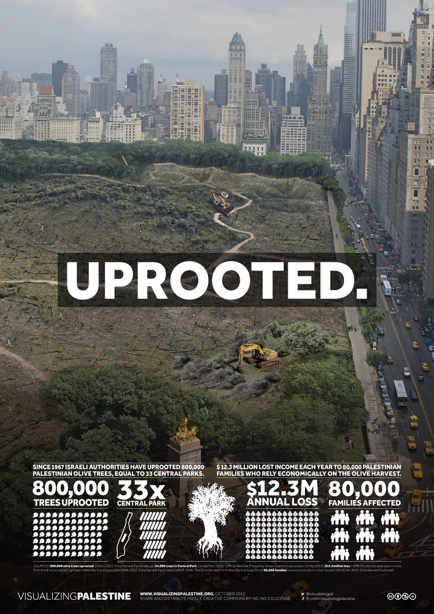 shimmeringolds's tweet photo. “How is Palestinian liberation a environmental cause!” Well maybe because of the 800,000 native olive trees uprooted, and also counting the other plants too. The uprooted olive trees than replaced with invasive species from Israeli settlers which is destroying the land’s health. https://t.co/Y1OToTHSQ2