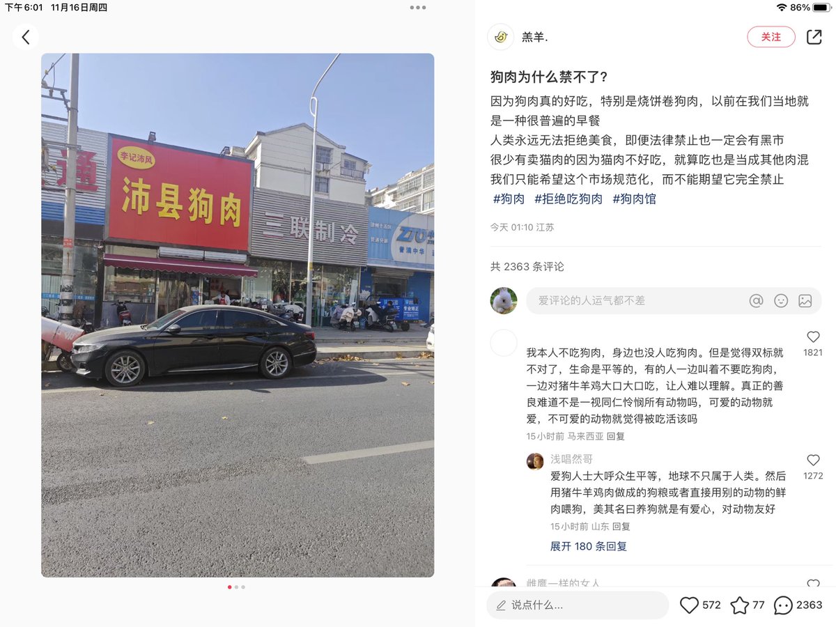 YaLovewith's tweet photo. There is country, which is proud of eating dogs! Yeah, Disgusting is beautiful there! 
Sometimes, feeling shame for these……" https://t.co/iwcv8cG8iq