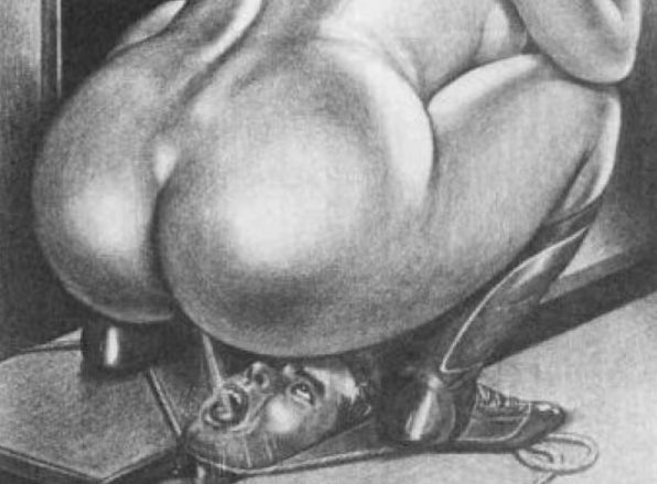 pied_esclave's tweet photo. Dans cette hiérarchie le clebard que tu es se trouvera toujours en dessous de la maîtresse et ça tu l’as sûrement déjà compris, alors si ce n’est pas déjà fait viens me dm et me supplier de faire de toi ma nouvelle carte bancaire sur patte 💰🇲🇦

#slave #domination #moneyslave https://t.co/TVE5nwsKVV