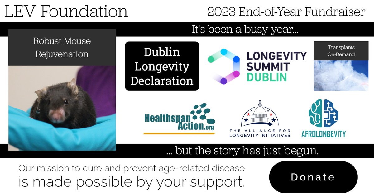 LEVF are proud of what we've achieved in our first year of operation, and we hope you'll agree. Visit t.ly/OZnx3 for a summary of our work so far, as well as our plans for 2024 - and please help to make those plans a reality, by joining our end-of-year fundraiser!